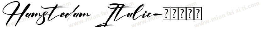 Hamstedam Italic字体转换